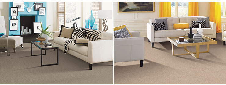 Innovia Touch Xtreme clean carpets living room