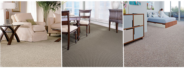 Stainmaster carpet in living room dining room bedroom