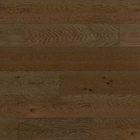 Cafe Collection - Biscuit Swatch