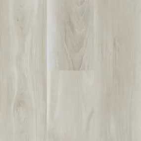 Joggins  - Foggy Morn  Swatch