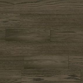 Cafe Collection  - Donut Swatch