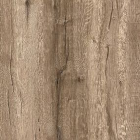 Radiant - Arden Oak  Swatch