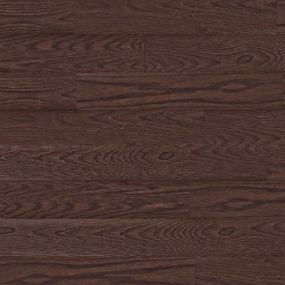 Cafe Collection - Briarwood Swatch