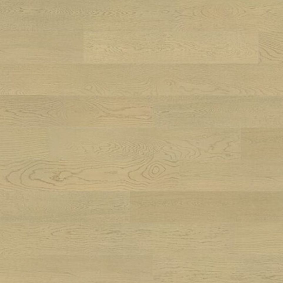 Cafe Plus Collection 