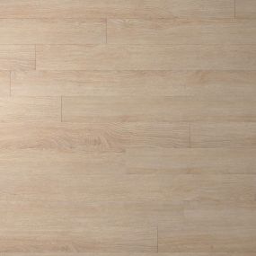 Superior  - Marigold Swatch