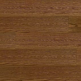 Cafe Collection - Expresso Swatch