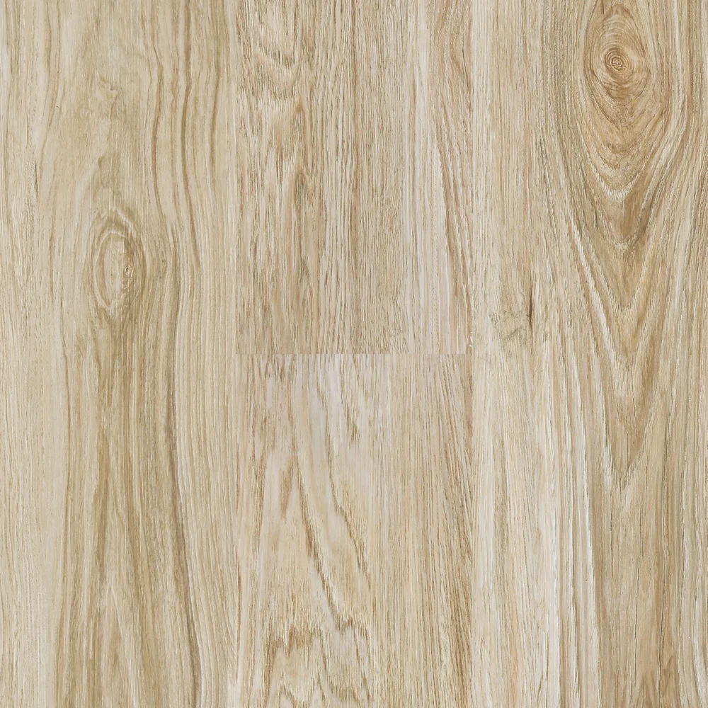Joggins - Hunter