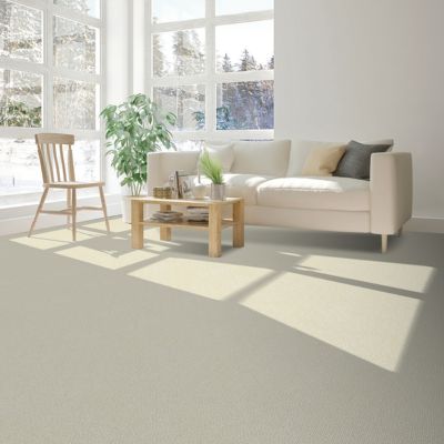 carpet in a living room with bright windows SImcoe ON